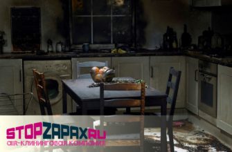 Устранение неприятных запахов после пожара в СПБ_stopzapax.ru